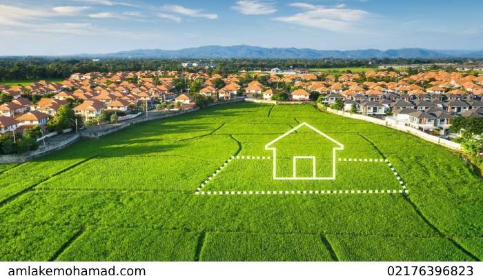 زمین کشاورزی بخرم یا مسکونی کدام یک برای سرمایه گذاری مناسب است؟