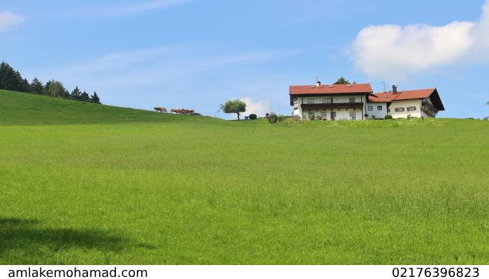 مزایای خرید زمین کشاورزی