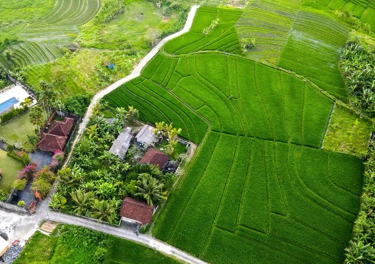 خرید زمین زراعی و باغی و تغییر کاربری اراضی