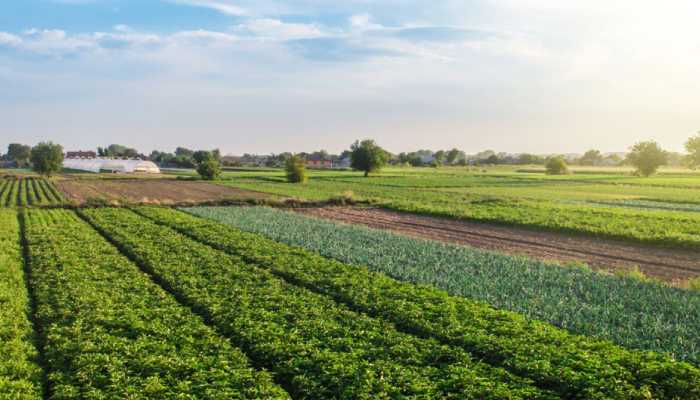 خرید زمین کشاورزی در خسروان؛ مزایا و معایب